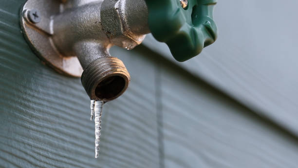 Best Commercial Plumbing Services  in Pelzer, SC